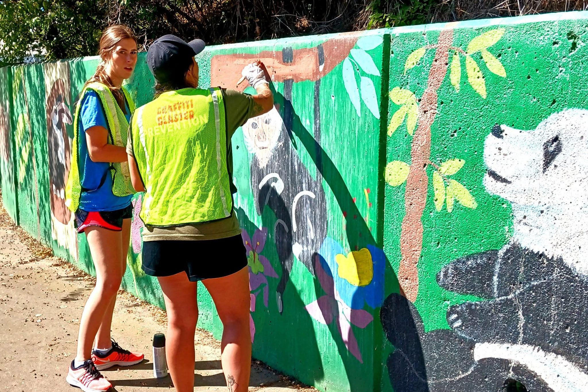Volunteer